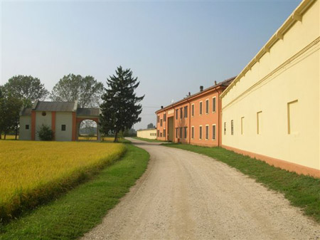 AZIENDA AGRICOLA SALA VIRGILIO E FIGLI